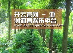 种植基地九