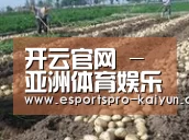 种植基地七(图1)