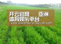 种植基地四