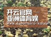 种植基地七