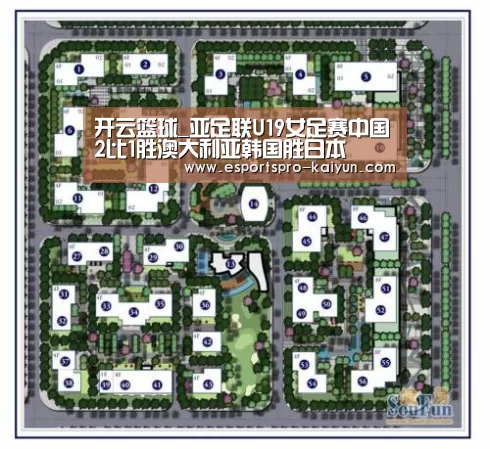 开云篮球
