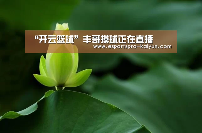 开云篮球